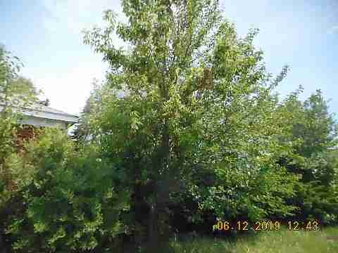 12630 Gunston (4)_m.jpg